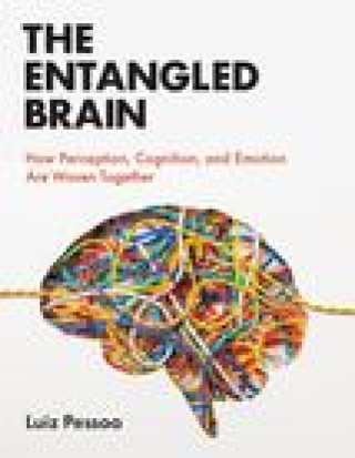 Kniha Entangled Brain 