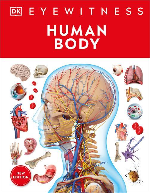 Kniha Eyewitness Human Body 