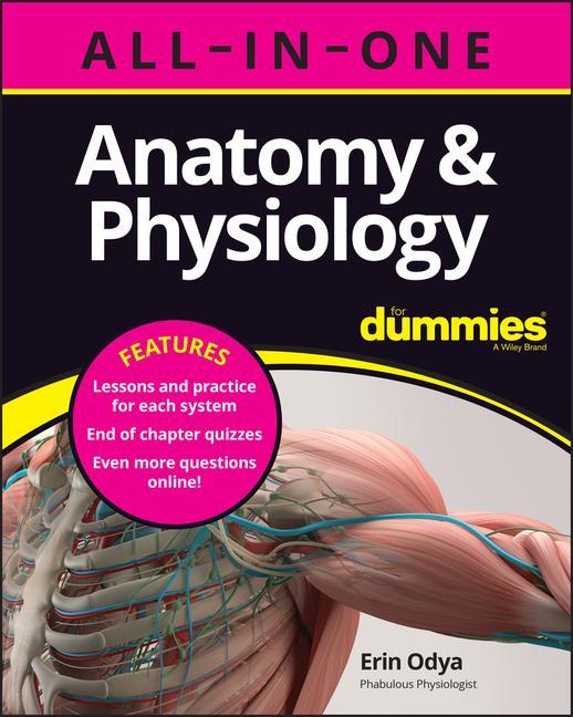 Könyv Anatomy & Physiology All-in-One For Dummies (+ Cha pter Quizzes Online) 