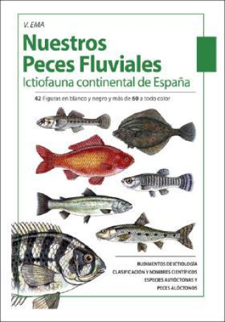 Knjiga Nuestros Peces Fluviales: (Ictiofauna Continental De Espa?a) V. Ema