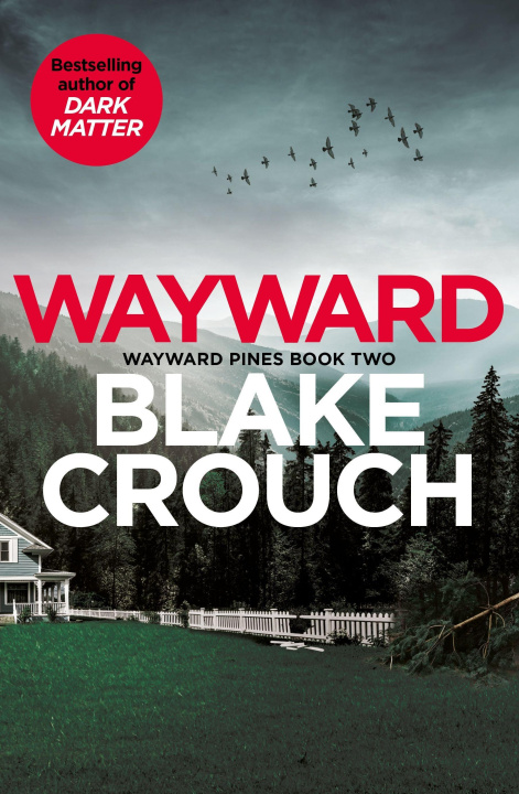 Buch Wayward 