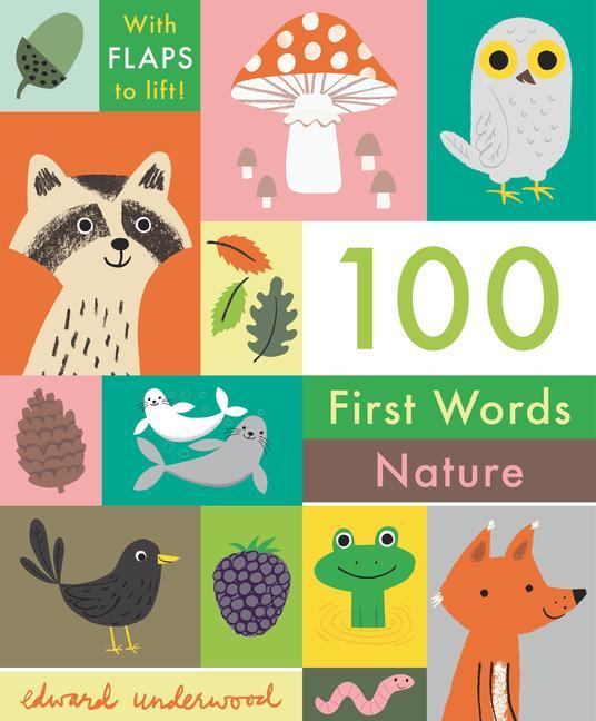 Kniha 100 First Words: Nature Edward Underwood