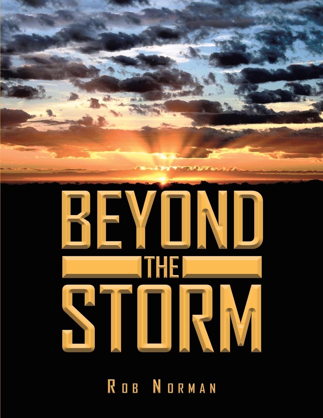 Knjiga Beyond The Storm Rob Norman