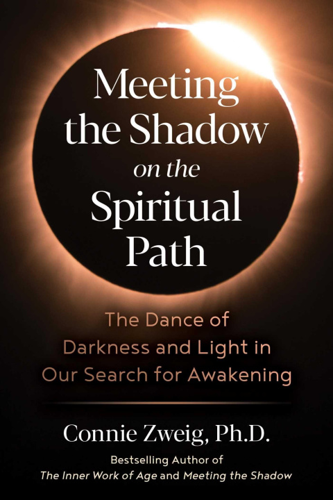 Kniha Meeting the Shadow on the Spiritual Path 