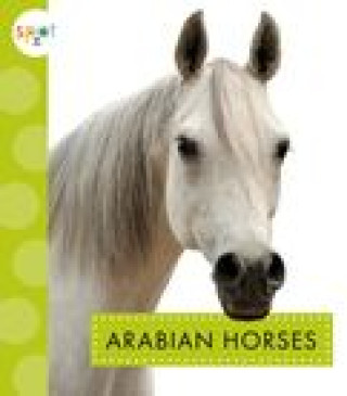 Könyv Arabian Horses 
