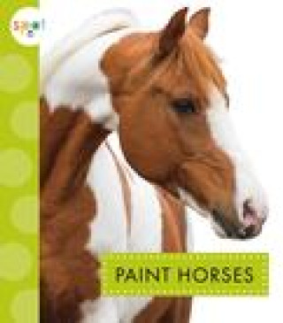 Book Paint Horses 