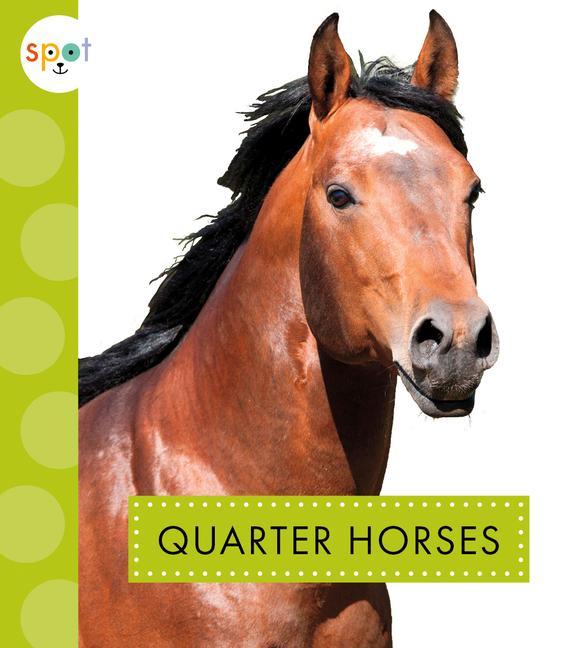 Könyv Quarter Horses 