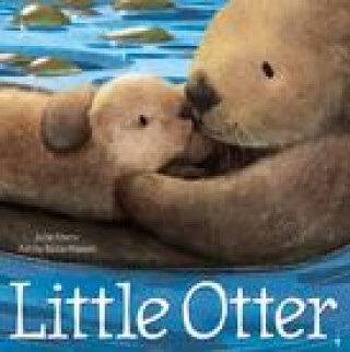 Könyv Little Otter Suzie Mason