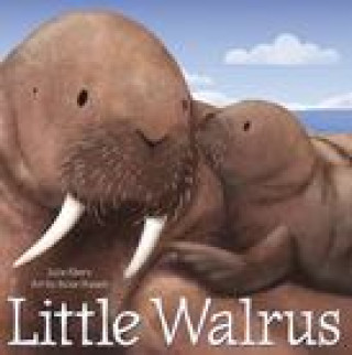 Book Little Walrus Suzie Mason