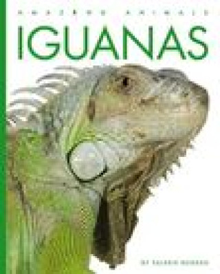 Książka Iguanas Bodden