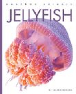 Carte Jellyfish 