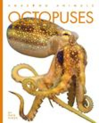 Carte Octopuses Riggs