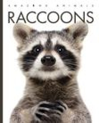 Könyv Raccoons 