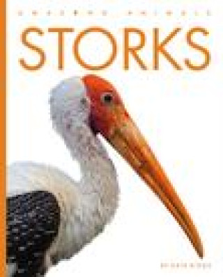 Knjiga Storks Riggs
