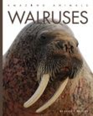 Knjiga Walruses Bodden