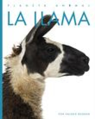 Knjiga La Llama Bodden