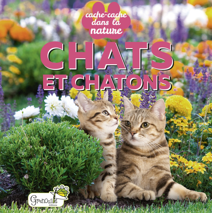 Kniha Chats et chatons 