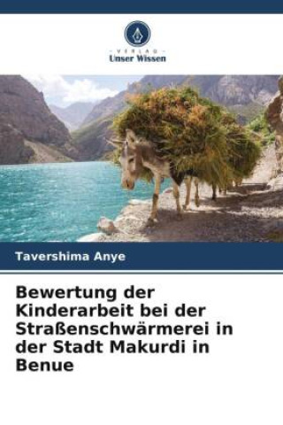 Kniha Bewertung der Kinderarbeit bei der Straßenschwärmerei in der Stadt Makurdi in Benue 