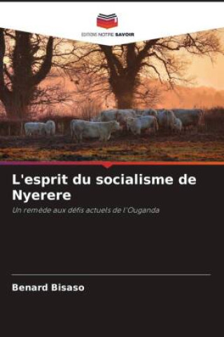 Kniha L'esprit du socialisme de Nyerere 