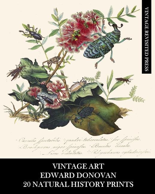 Kniha Vintage Art: Edward Donovan: 20 Natural History Prints: Entomology Ephemera for Home Decor, Collages and Scrapbooks 