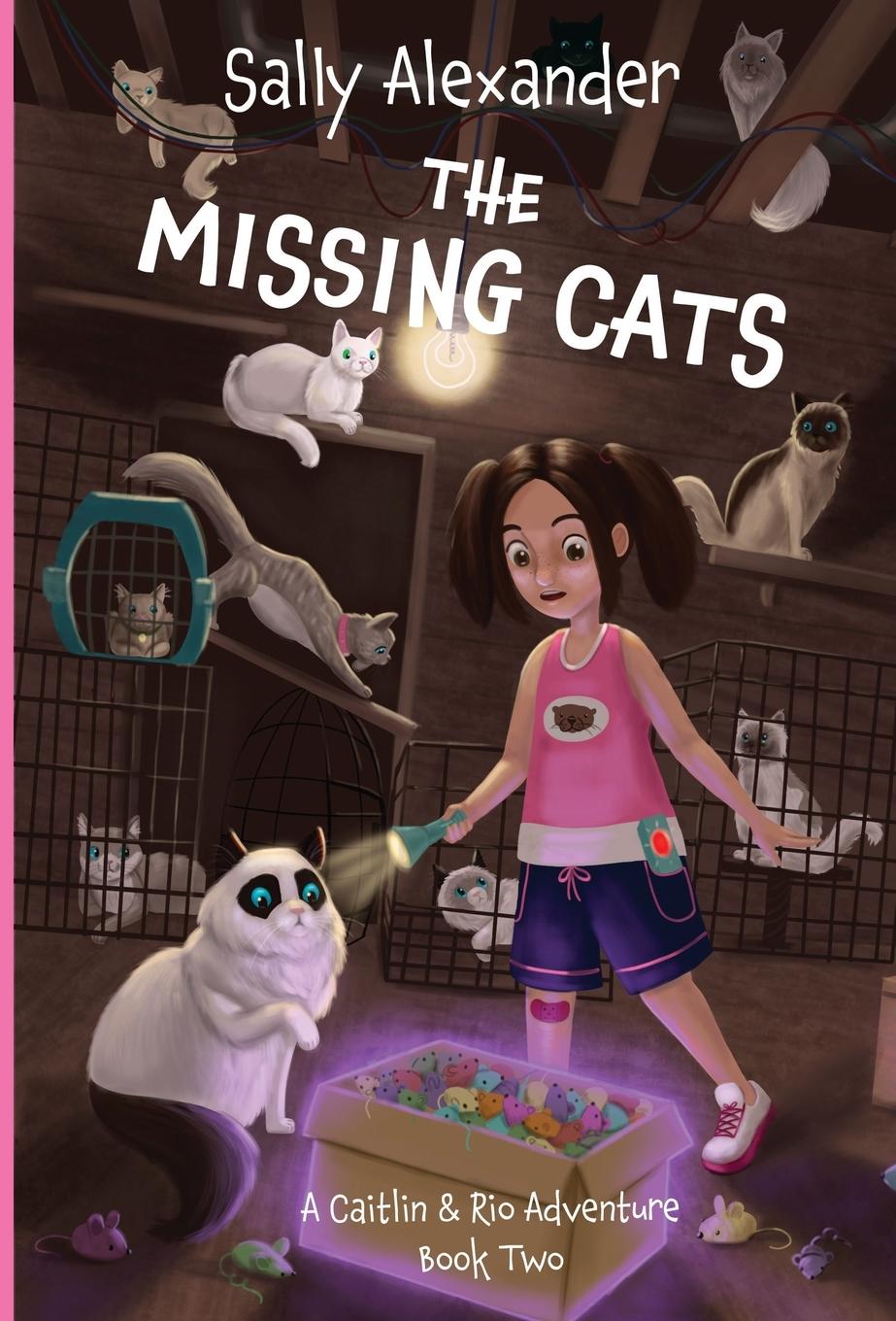 Knjiga Missing Cats Sally Alexander