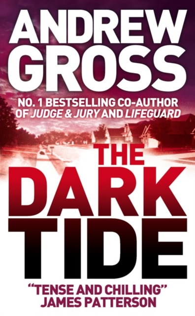 ebook Dark Tide Andrew Gross
