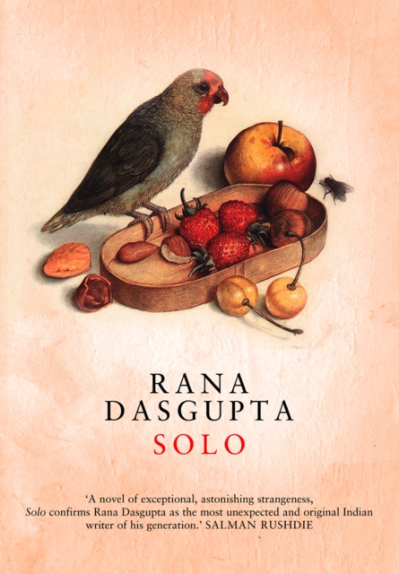 E-book Solo Rana Dasgupta