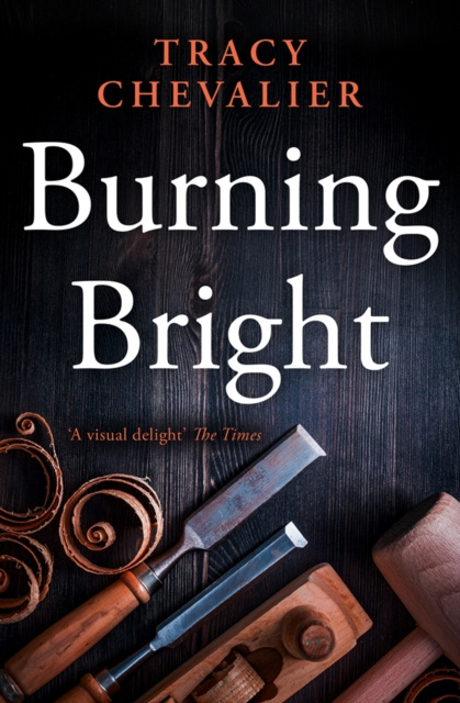 E-book Burning Bright Tracy Chevalier