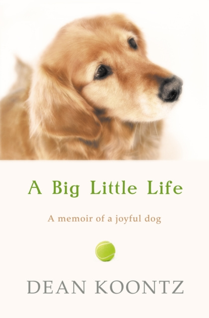 E-book Big Little Life Dean Koontz
