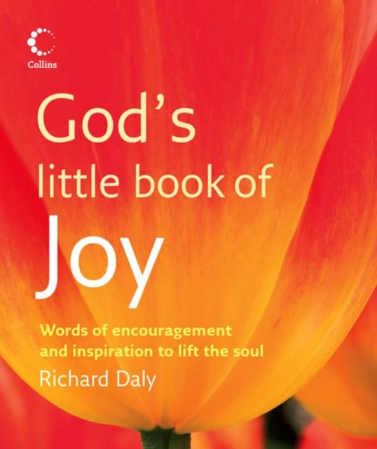E-kniha God's Little Book of Joy Richard Daly