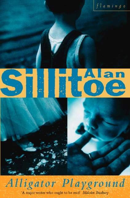 E-knjiga Alligator Playground Alan Sillitoe