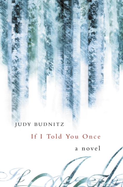 E-knjiga If I Told You Once Judy Budnitz