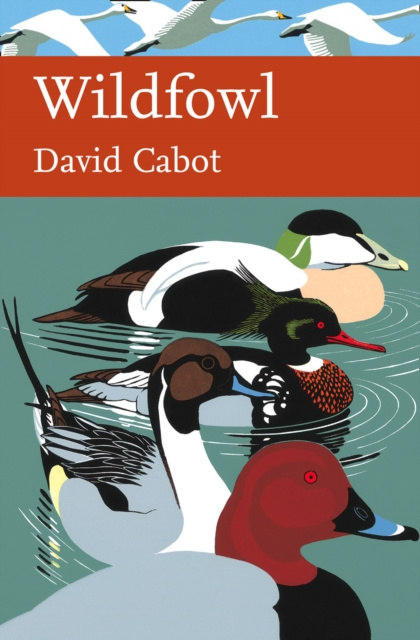 E-kniha Wildfowl David Cabot
