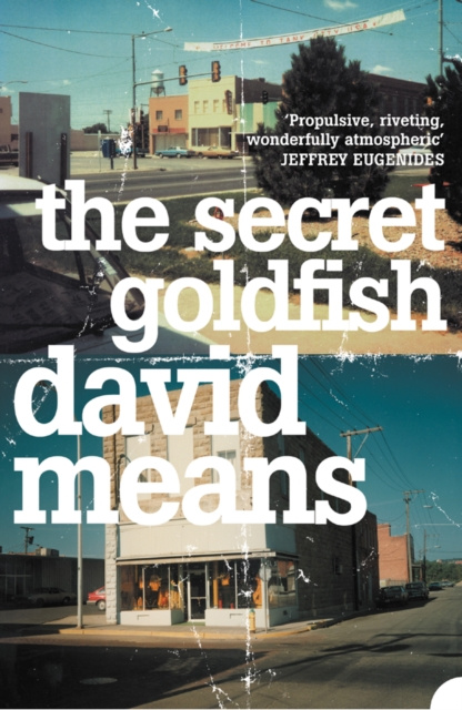 E-kniha Secret Goldfish David Means