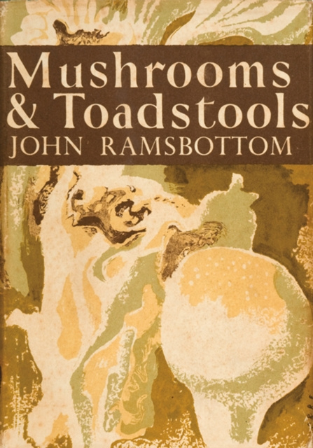 E-kniha Mushrooms and Toadstools John Ramsbottom