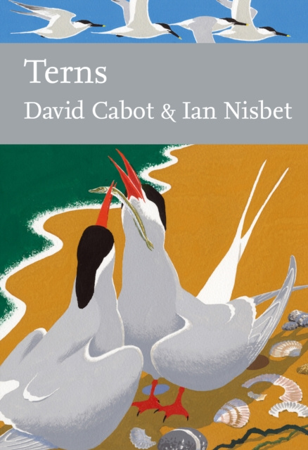 E-kniha Terns David Cabot
