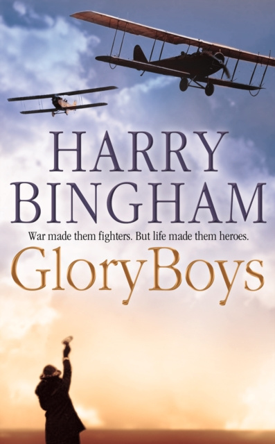 E-kniha Glory Boys Harry Bingham
