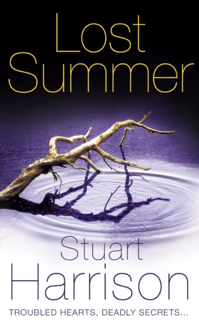 E-book Lost Summer Stuart Harrison