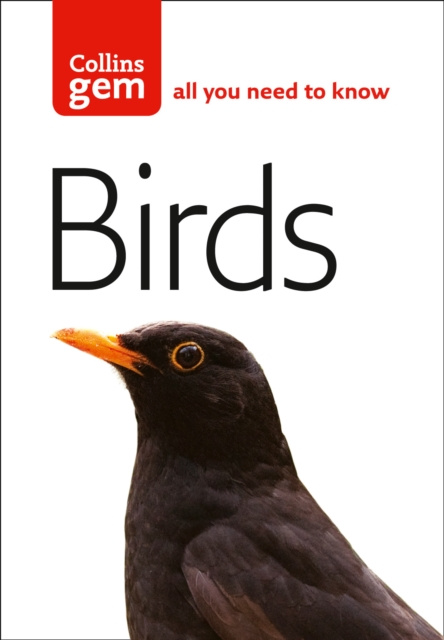 E-book Birds (Collins Gem) Jim Flegg