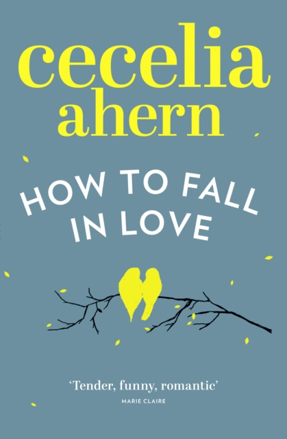 E-knjiga How to Fall in Love Cecelia Ahern