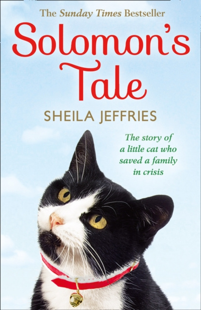E-book Solomon's Tale Sheila Jeffries