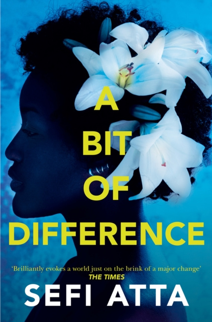 E-book Bit of Difference Sefi Atta