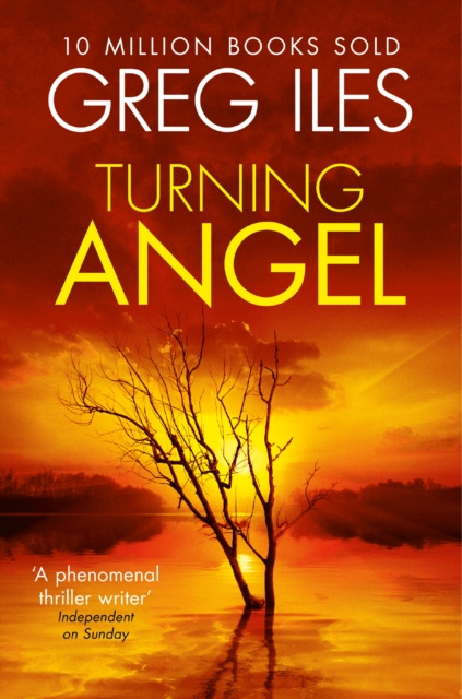 E-Book Turning Angel Greg Iles