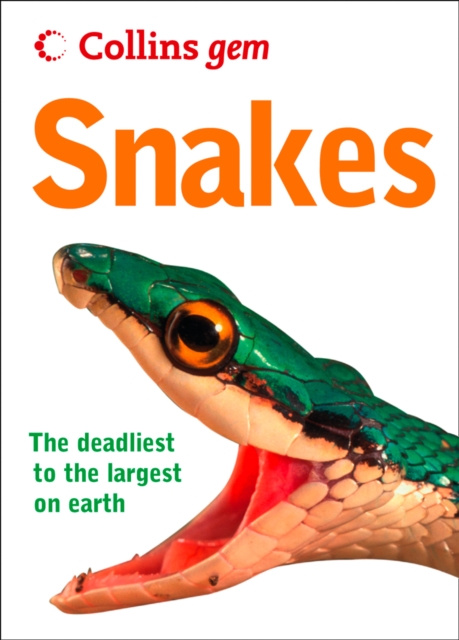 E-kniha Snakes (Collins Gem) Chris Mattison