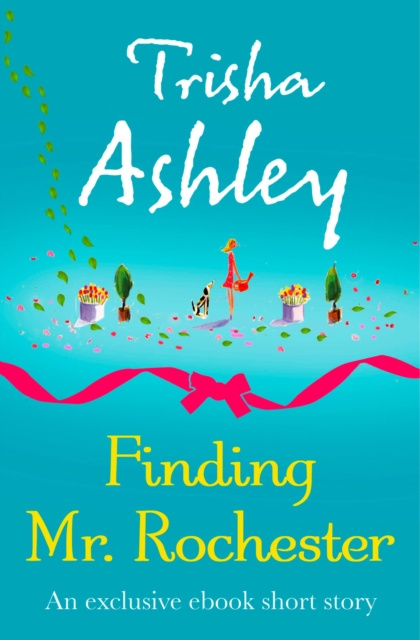 E-kniha Finding Mr Rochester Trisha Ashley