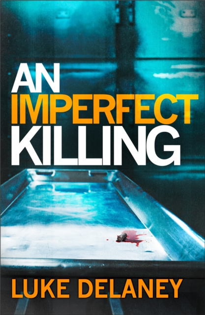 E-Book Imperfect Killing Luke Delaney