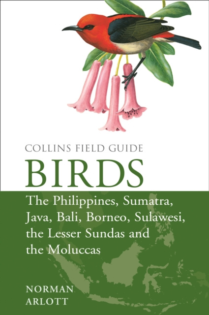 E-book Birds of the Philippines: and Sumatra, Java, Bali, Borneo, Sulawesi, the Lesser Sundas and the Moluccas (Collins Field Guides) Norman Arlott