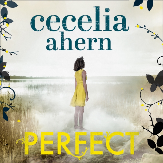 Audiobook Perfect Cecelia Ahern