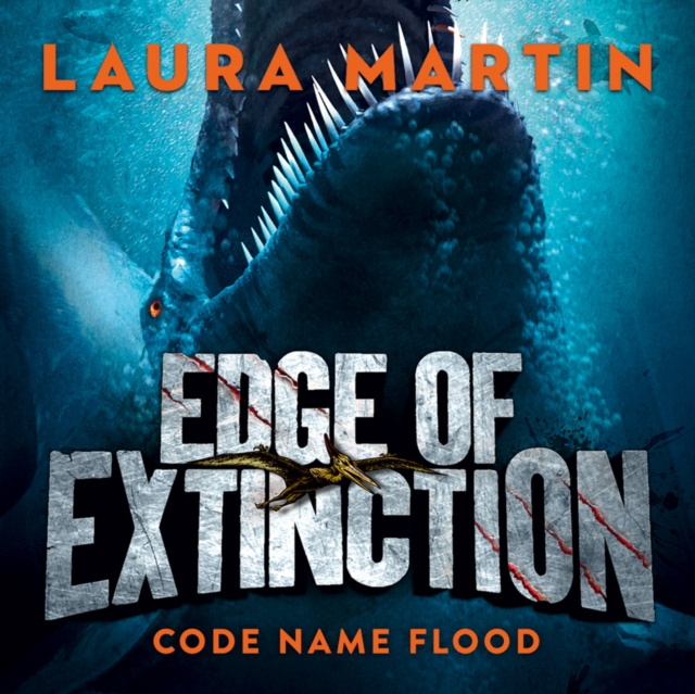 Hörbuch Code Name Flood Laura Martin