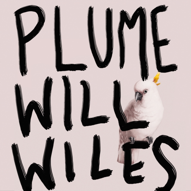 Luisterboek Plume Will Wiles